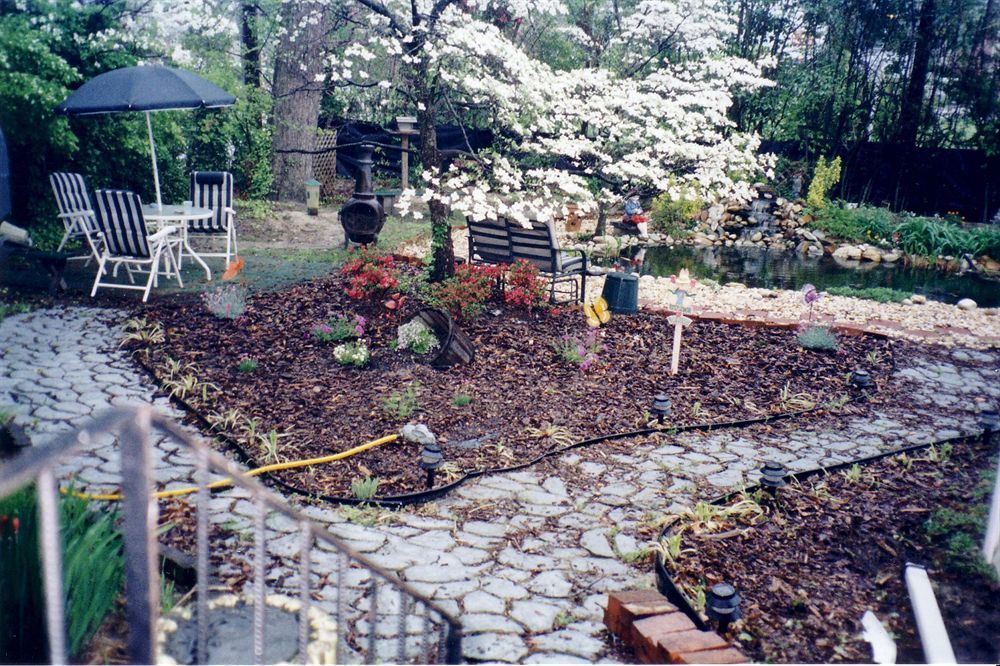 The Twin Magnolias Bed & Breakfast Roanoke Rapids Esterno foto